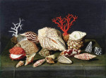₴ Репродукция натюрморт от 401 грн.: Натюрморт с ракушками и кораллами