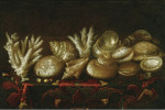₴ Репродукция натюрморт от 217 грн.: Смешанные раковины и кораллы на столе драпированном ковром