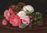 ₴ Репродукция натюрморт от 223 грн.: Букет белых и красных роз на пне
