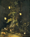 ₴ Картина натюрморт художника от 205 грн.: Змея и бабочки в лесу