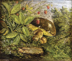 Купить от 152 грн. картину натюрморт: Поляна с белыми грибами и земляникой