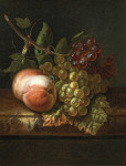 Купить картину натюрморт: Виноград, персики и муха