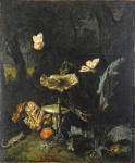 Купить картину натюрморт: Лесная подстилка с грибами, чертополохом, гадюкой, песочной ящерицей, улиткой, тремя лягушками и двумя мотыльками