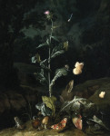 Купить картину натюрморт: Лесная подстилка с чертополохом, бабочками, грибами и лягушкой