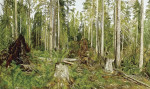 Купить картину пейзаж известного художника от 218 грн: Сосновый лес
