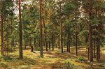 Купить картину пейзаж: Сосновый лес
