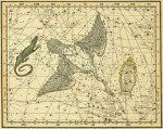 ₴ Стародавні карти високої роздільної здатності від 253 грн.: Небесний атлас, сузір'я Лебідь, Лакерія та Віа Лактеа