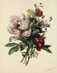 ₴ Репродукция натюрморт от 247 грн.: Пионы и другие цветы