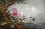₴ Репродукция натюрморт от 277 грн.: Колибри и орхидеи