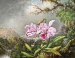 ₴ Репродукция натюрморт от 325 грн.: Орхидеи