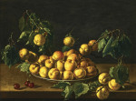 ₴ Репродукция натюрморт от 235 грн.: Абрикосы и вишни