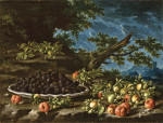 ₴ Репродукция натюрморт от 241 грн.: Ягоды ацеролы вишни и орехи в пейзаже