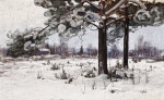 Купить от 118 грн. картину пейзаж: Сосны покрытые снегом