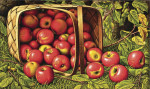 ₴ Репродукция натюрморт от 261 грн.: Корзинка яблок