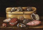 ₴ Репродукция натюрморт от 223 грн.: Деревянная коробка и морские брюхоногие