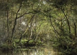 ₴ Репродукция пейзаж от 229 грн.: Лесная река