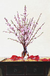 ₴ Репродукция натюрморт от 217 грн.: Персиковый цвет