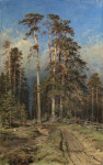 Купить от 122 грн. картину пейзаж: Сосновый лес, Елабуга
