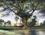 ₴ Репродукция пейзаж от 241 грн.: Фигуры купаются в пруду, дома плантации за пределами, Тринидад
