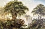 Купите картину художника от 193 грн: Буйволы доведены до края пропасти напротив Гарден-Айленда, водопад Виктория