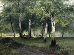 Купить картину пейзаж от 183 грн: Березовый лес