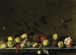 ₴ Репродукция картины натюрморт от 235 грн.: Натюрморт с фруктами и ракушками, с розой и различными насекомыми на каменном выступе