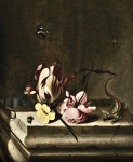 Купить натюрморт художника от 151 грн.: Тюльпан попугай, розовая роза, мышь, ящерица и пчела на каменном пьедестале, с красным адмиралом и пауком на его паутине