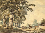 Купить картину пейзаж художника от 180 грн: Олень под буковыми деревьями летом
