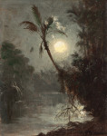 ₴ Картина пейзаж художника от 187 грн.: Тропическая река в лунном свете