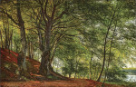 ₴ Картина пейзаж известного художника от 211 грн: Лесная сцена из Соро, Дания