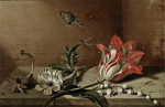 ₴ Купить натюрморт художника от 161 грн.: Тюльпан, анемоны, ландыш, гусеница, бабочка и другие насекосмые на деревянном выступе