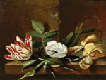 ₴ Купить натюрморт художника от 184 грн.: Желтый ирис, тюльпан попугай, белая роза и насекомыми на деревянном столе