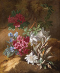 ₴ Репродукция картины натюрморт от 181 грн.: Альпийские цветы