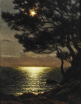 ₴ Купить картину море художника от 189 грн.: Лунное побережье