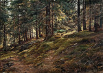 ₴ Репродукция пейзаж от 229 грн.: Солнечный свет в лесу