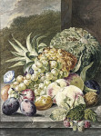 ₴ Репродукция натюрморт от 196 грн.: Дыня, ананас, виноград, персики, сливы, орехи