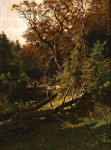 ₴ Картина пейзаж художника от 154 грн.: Старый заборчик на опушке леса