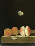 ₴ Репродукция натюрморт от 196 грн.: Персик, два абрикоса на каменном выступе с двумя бабочками