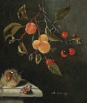 ₴ Репродукция натюрморт от 228 грн.: Бабочка, абрикосы, вишни и каштан