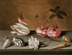 ₴ Репродукція картини натюрморт від 247 грн.: Тюльпан, гвоздика та троянди з мушлями та комахами на виступі