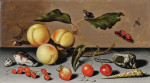 ₴ Репродукція картини натюрморт від 187 грн.: Натюрморт з абрикосами, вишнями, дикою полуницею, червоною смородиною, мушлями та комахами