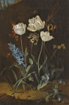 ₴ Картина натюрморт художника от 1718 грн.: Натюрморт с тюльпанами и гиацинтом