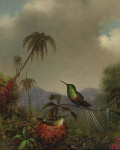 ₴ Репродукция натюрморт от 318 грн.: Две колибри в бразильском пейзаже