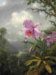 ₴ Картина натюрморт известного художника от 198 грн.: Колибри на орхидее