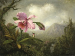 ₴ Картина натюрморт известного художника от 204 грн.: Орхидея и колибри у водопада