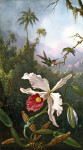 ₴ Картина натюрморт відомого художника від 158 грн.: Дві колібрі над білою орхідеєю