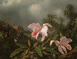 ₴ Картина натюрморт відомого художника від 198 грн.: Орхідеї в джунглях і колібрі