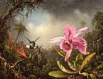 ₴ Картина натюрморт відомого художника від 209 грн.: Орхідея з двома колібрі