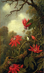 ₴ Картина натюрморт известного художника от 146 грн.: Колибри и страстоцвет