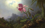 ₴ Картина натюрморт відомого художника від 174 грн.: Дві колібрі з орхідеєю